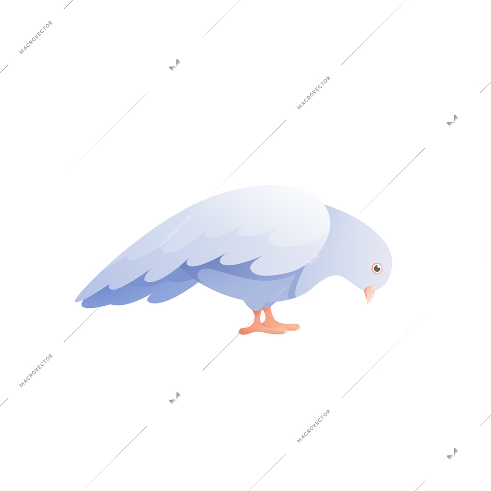 White pigeon dove composition with isolated flat image of bird with wings vector illustration