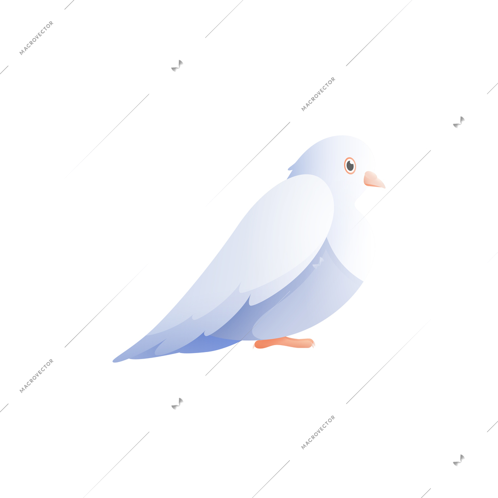 White pigeon dove composition with isolated flat image of bird with wings vector illustration