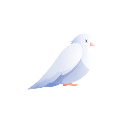 White pigeon dove composition with isolated flat image of bird with wings vector illustration