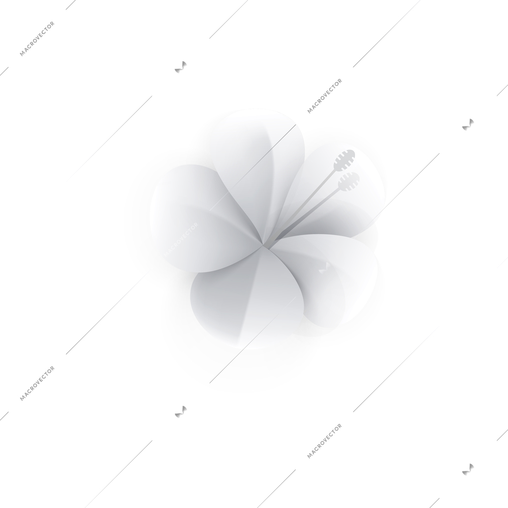 White paper tropical flowers composition with paper crafting goods image vector illustration