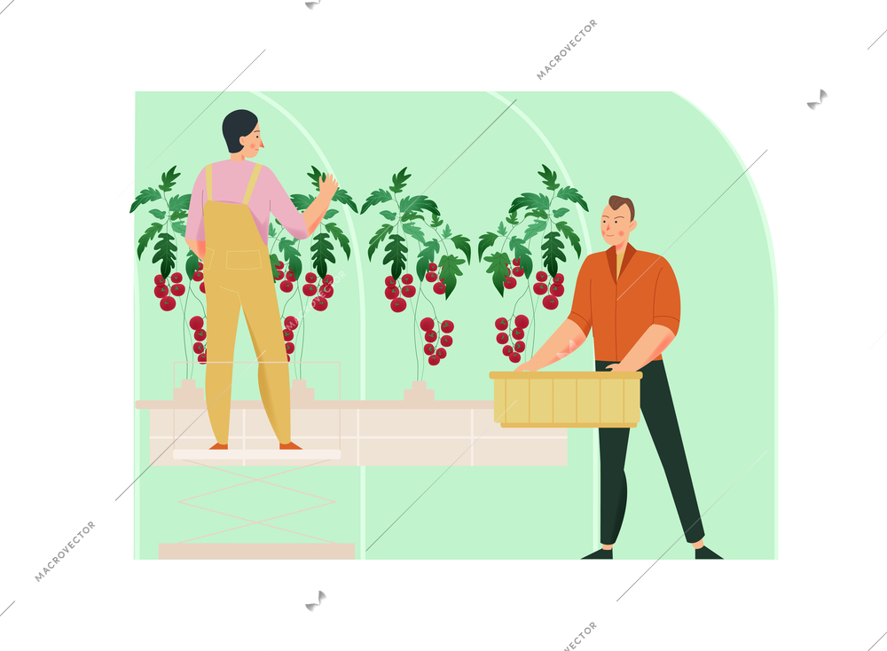 Agriculture flat composition with men and women looking after greenhouse plants isolated vector illustration