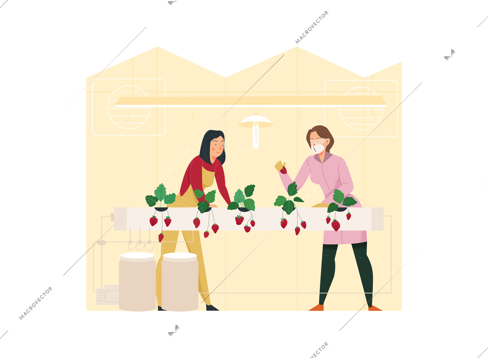 Agriculture flat composition with two women looking after greenhouse plants isolated vector illustration