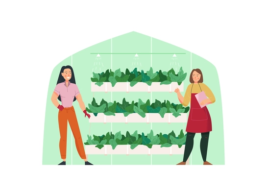 Agriculture flat composition with two women looking after greenhouse plants isolated vector illustration