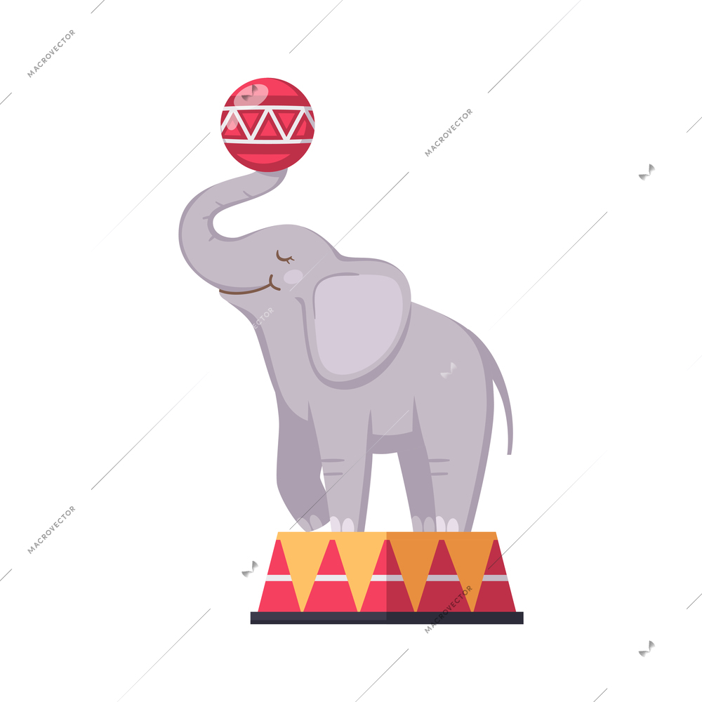 Circus cartoon composition with isolated image of elephant standing on pedestal holding ball vector illustration