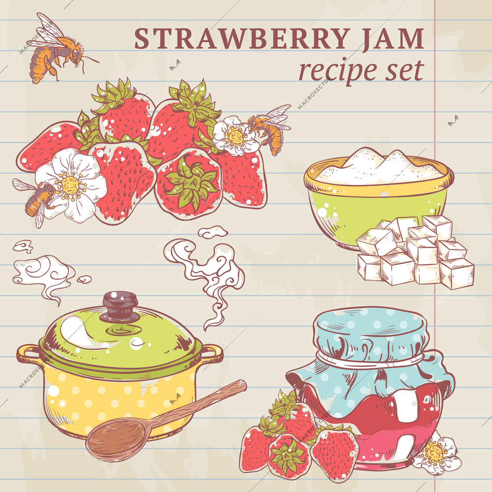 Sweet and healthy homemade strawberry jam ingredients on lined paper vector illustration