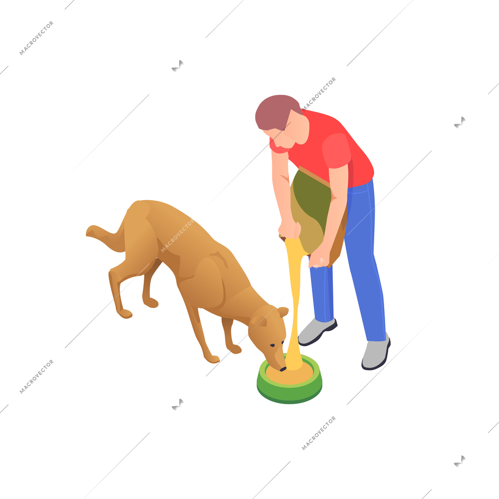 Charity donation volunteering isometric composition with male volunteer feeding dog vector illustration