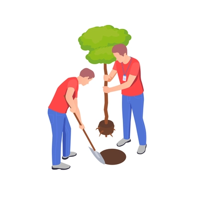 Charity donation volunteering isometric composition with group of volunteers planting tree vector illustration