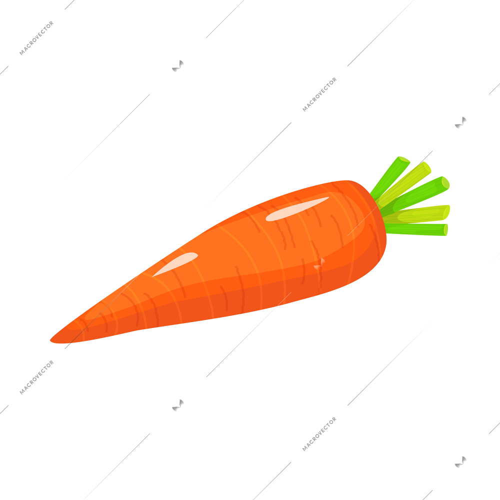 Sliced vegetables composition with flat isolated image of whole ripe carrot vector illustration