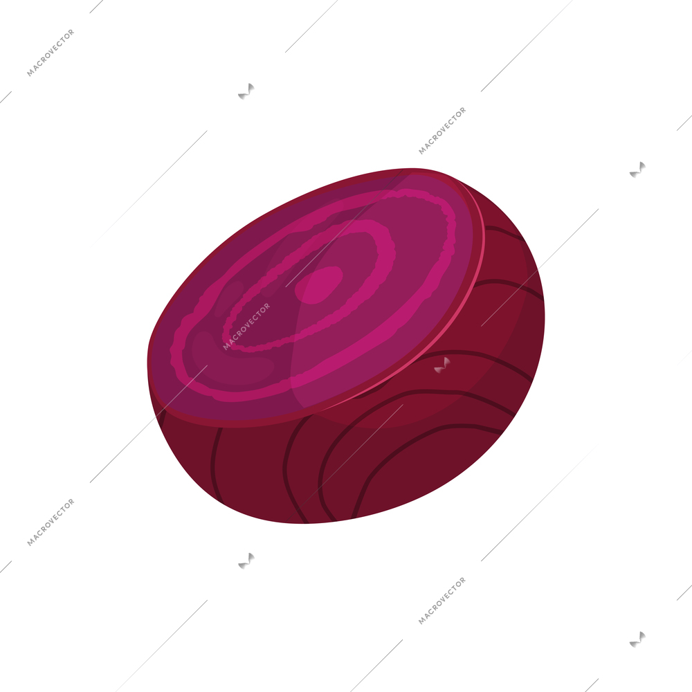 Sliced vegetables composition with flat isolated image of half beet root side view vector illustration