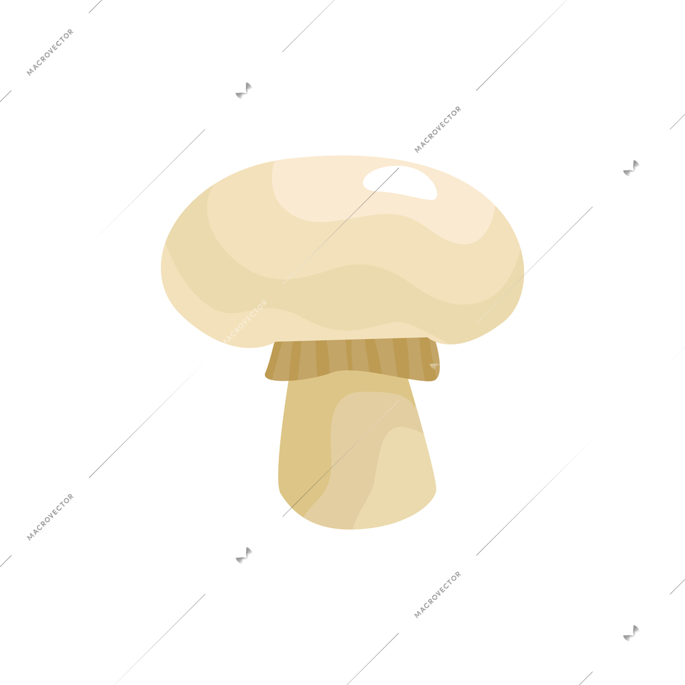Sliced vegetables composition with flat isolated image of whole ripe mushroom vector illustration