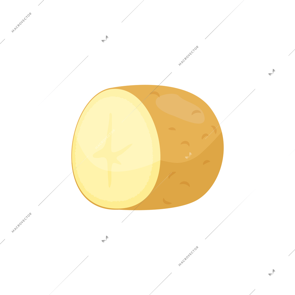 Sliced vegetables composition with flat isolated image of half potato side view vector illustration