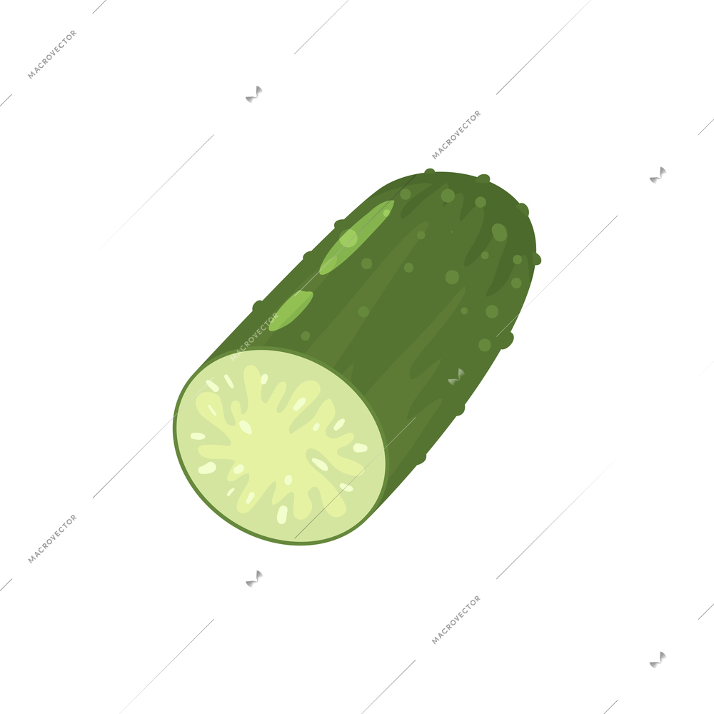 Sliced vegetables composition with flat isolated image of half cucumber vector illustration