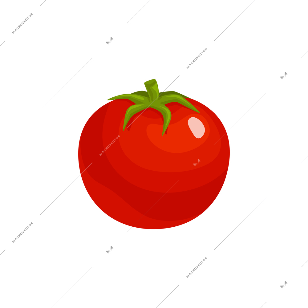 Sliced vegetables composition with flat isolated image of whole ripe tomato vector illustration