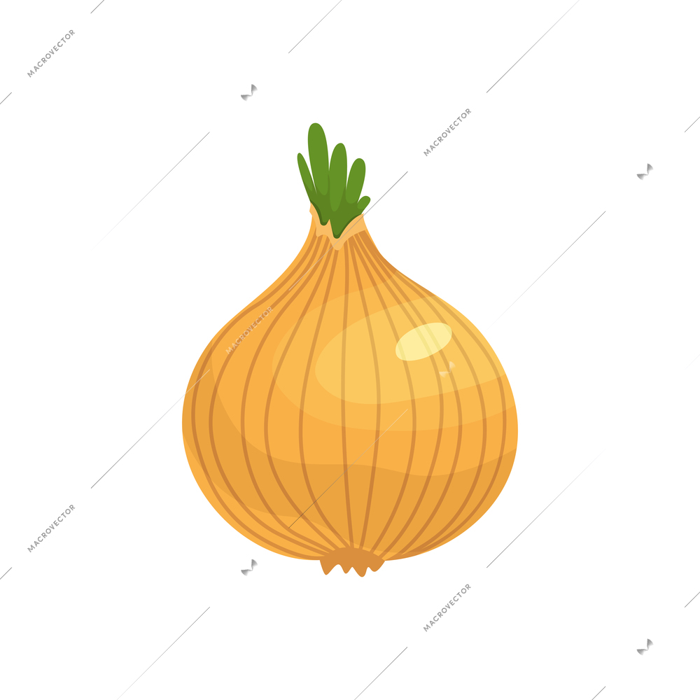 Sliced vegetables composition with flat isolated image of whole ripe onion vector illustration