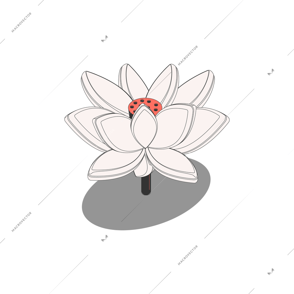 Chinese culture traditions symbols isometric composition with image of lotus flower vector illustration