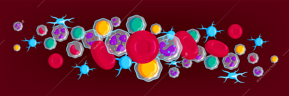 Blood cells symbols colorful horizontal composition lymphocytes erythrocytes platelets neutrophils maroon chestnut background banner header vector illustration