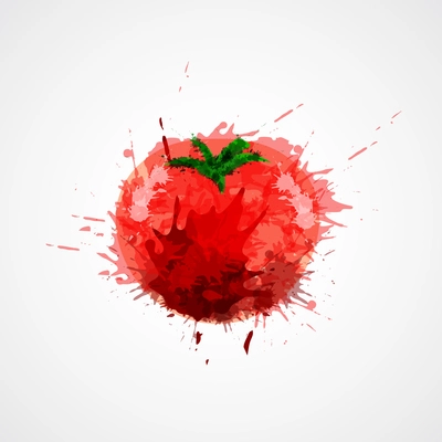 Red fresh watercolor splash stained tomato isolated on white background vector illustration