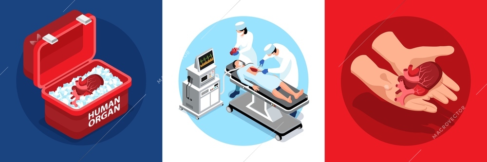 Isometric donor human organs design concept with round compositions of human heart in container with surgery vector illustration