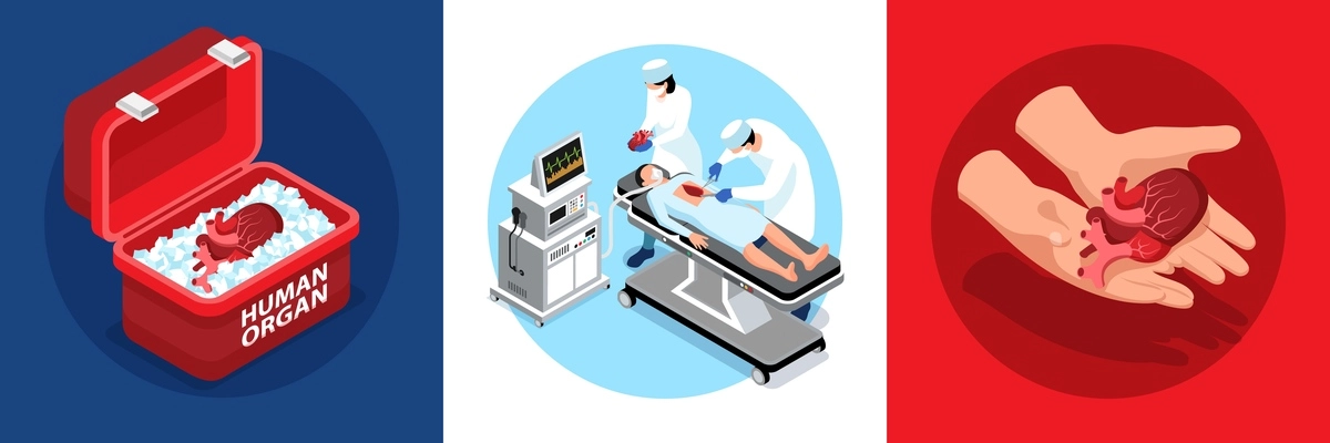 Isometric donor human organs design concept with round compositions of human heart in container with surgery vector illustration