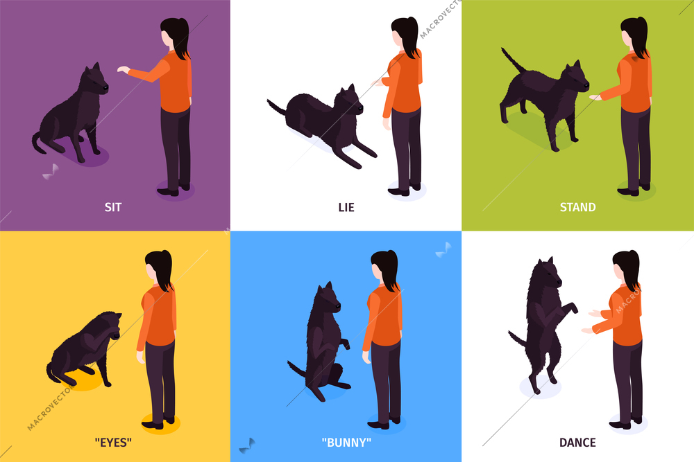 Isometric dog training design concept with six square compositions of woman text commands and different poses vector illustration