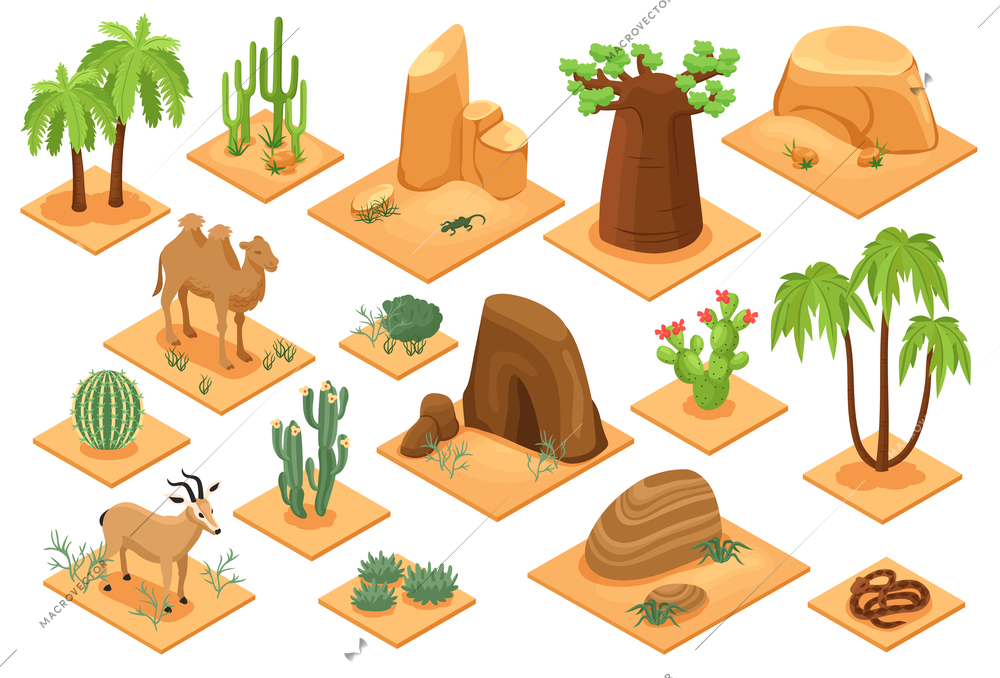 Desert elements isometric set with baobab palms cactuses succulents flora snake camel sandstones sand isolated vector illustration