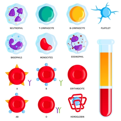 Blood types groups cells colorful symbols set with lymphocytes erythrocytes hemoglobin and test tube infographic vector illustration