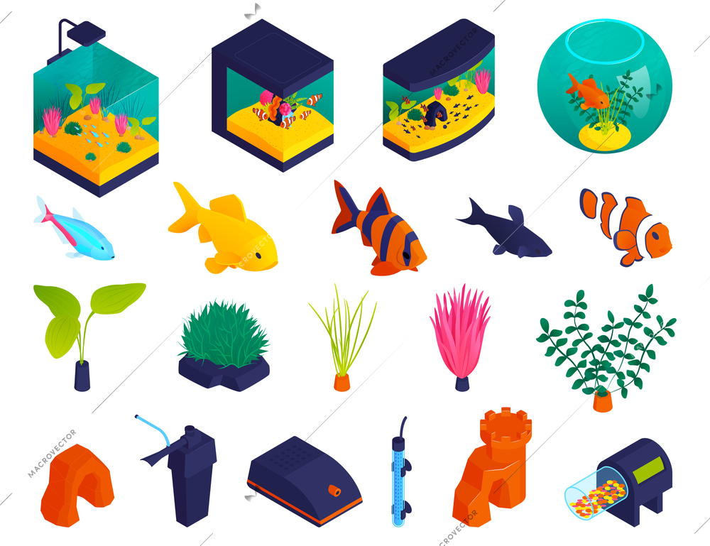 Aquariums shapes types tanks fishbowl isometric fish aquatic plants oxygen pumps filters accessories icons set vector illustration