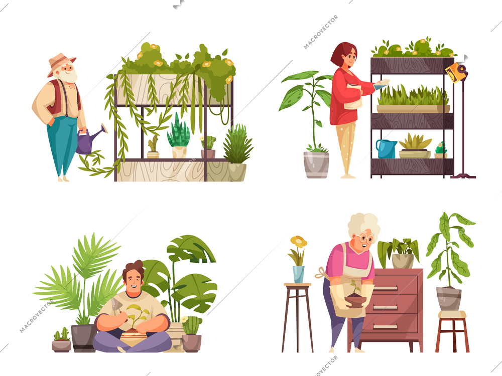 Home plants 2x2 compositions with people watering and taking care of houseplants isolated on white background flat vector illustration