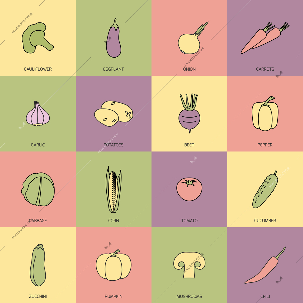 Food vegetables flat line set of cauliflower onion carrot isolated vector illustration