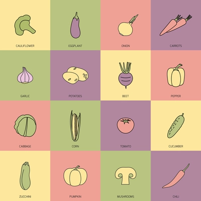 Food vegetables flat line set of cauliflower onion carrot isolated vector illustration