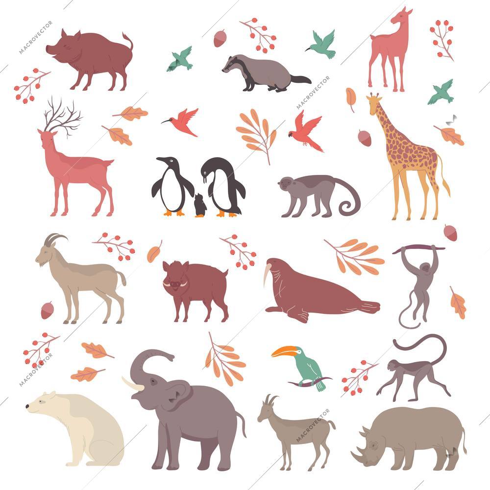 Wildlife set with isolated icons of leaves and acorns with exotic animals and birds flat characters vector illustration