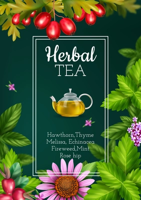 Herbal tea realistic poster with glass pot herbs flowers and leaves on green background vector illustration