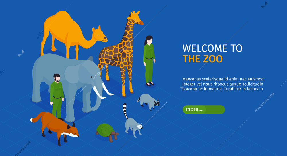 Isometric zoo horizontal banner with welcome to the zoo headline and more button vector illustration