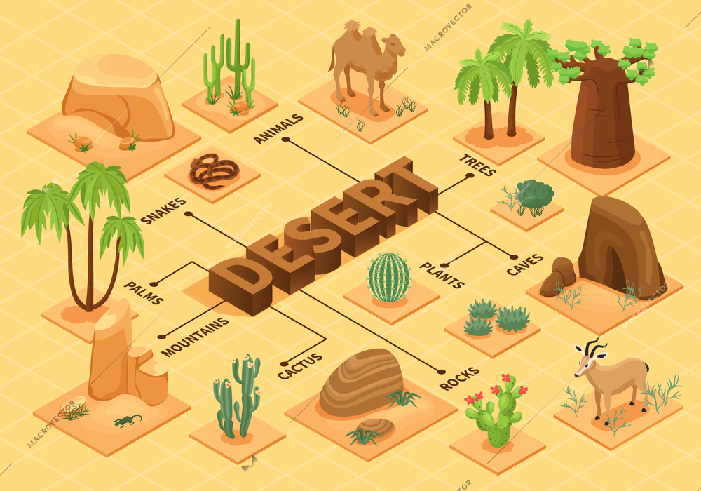 Desert flowchart with isometric plants mountains rocks caves animals 3d vector illustration