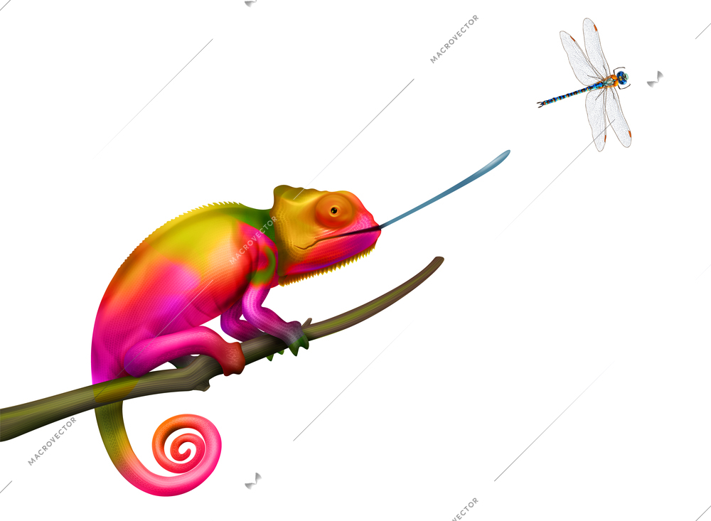 Chameleon hunting for flying dragonfly colorful realistic vector illustration on white background