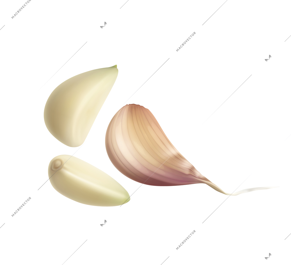 Spices and herbs realistic composition with isolated image of garlic cloves vector illustration