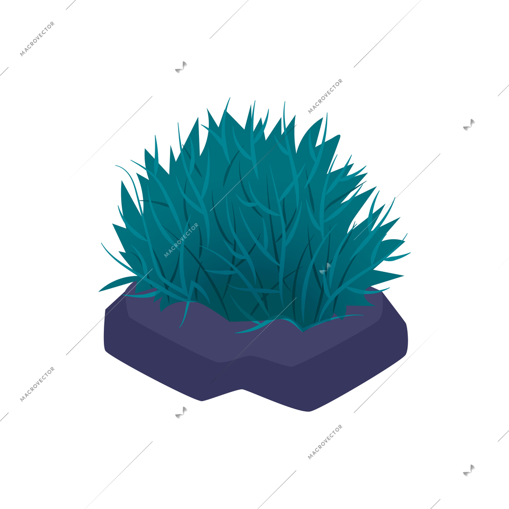 Isometric aquarium composition with isolated image of sea weed in pot on blank background vector illustration