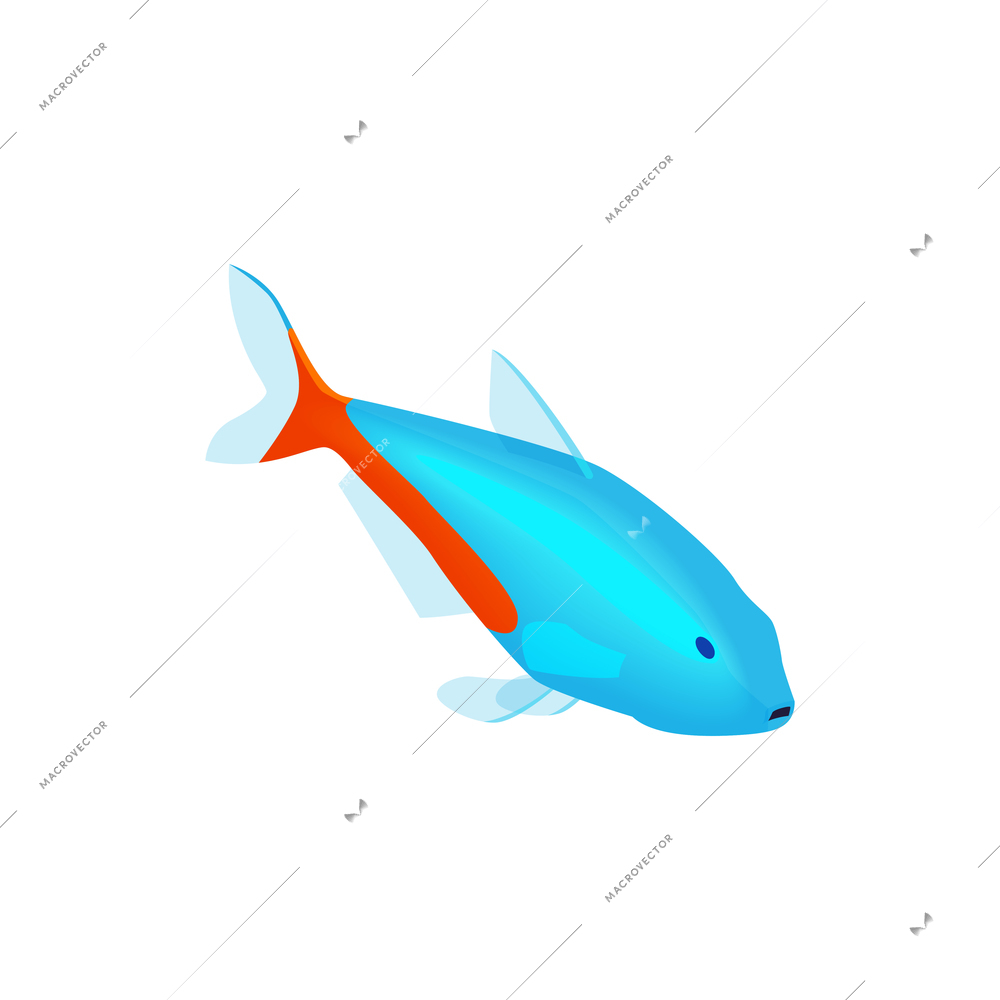 Isometric aquarium composition with isolated image of neon fish on blank background vector illustration