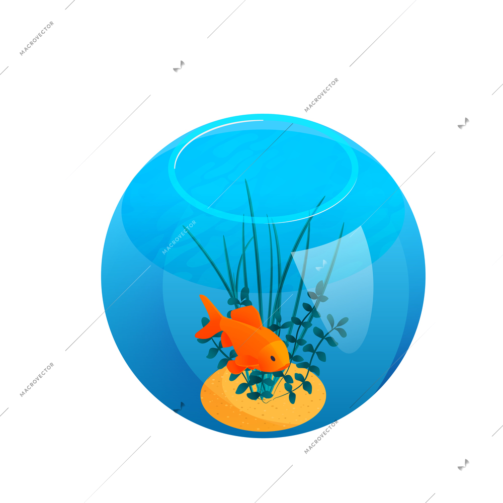 Isometric aquarium composition with isolated image of ball shaped aquarium with sea weed and orange fish vector illustration