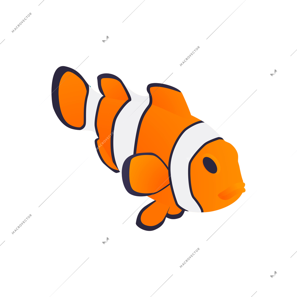 Isometric aquarium composition with isolated image of exotic fish on blank background vector illustration