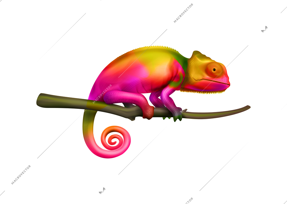 Side view of colorful chameleon lizard on tree branch realistic vector illustration