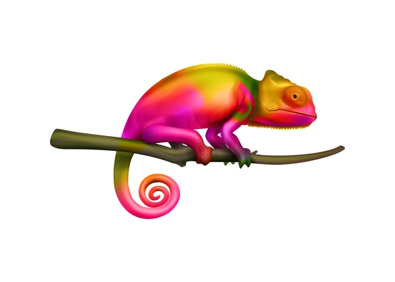 Side view of colorful chameleon lizard on tree branch realistic vector illustration