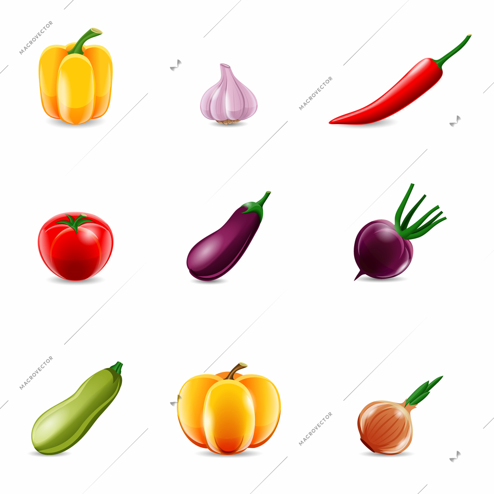 Food vegetables realistic set of paprika garlic chili isolated vector illustration.