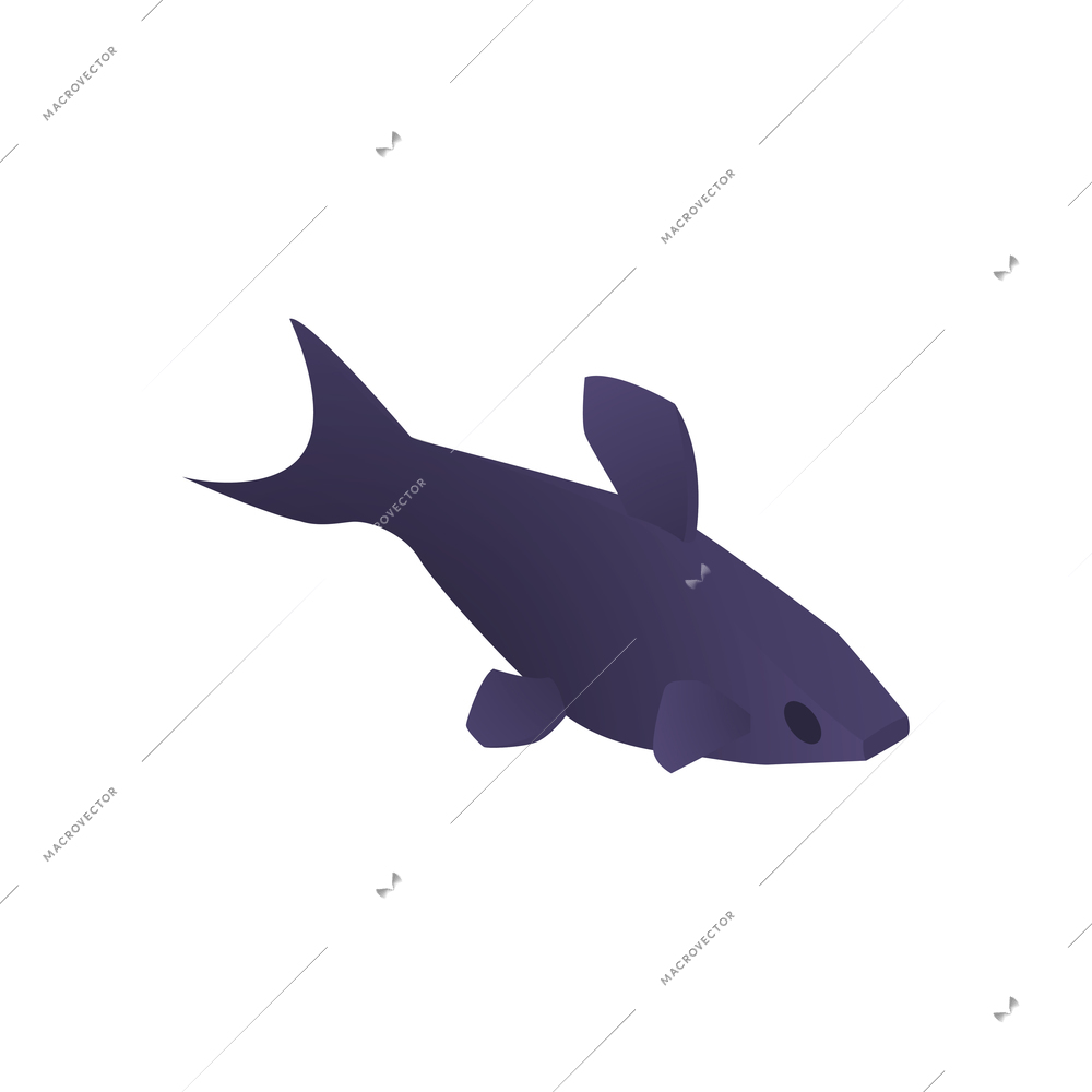 Isometric aquarium composition with isolated image of dark blue fish on blank background vector illustration