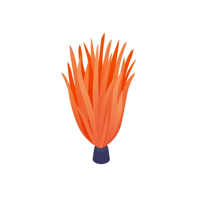 Isometric aquarium composition with isolated image of orange weed on blank background vector illustration