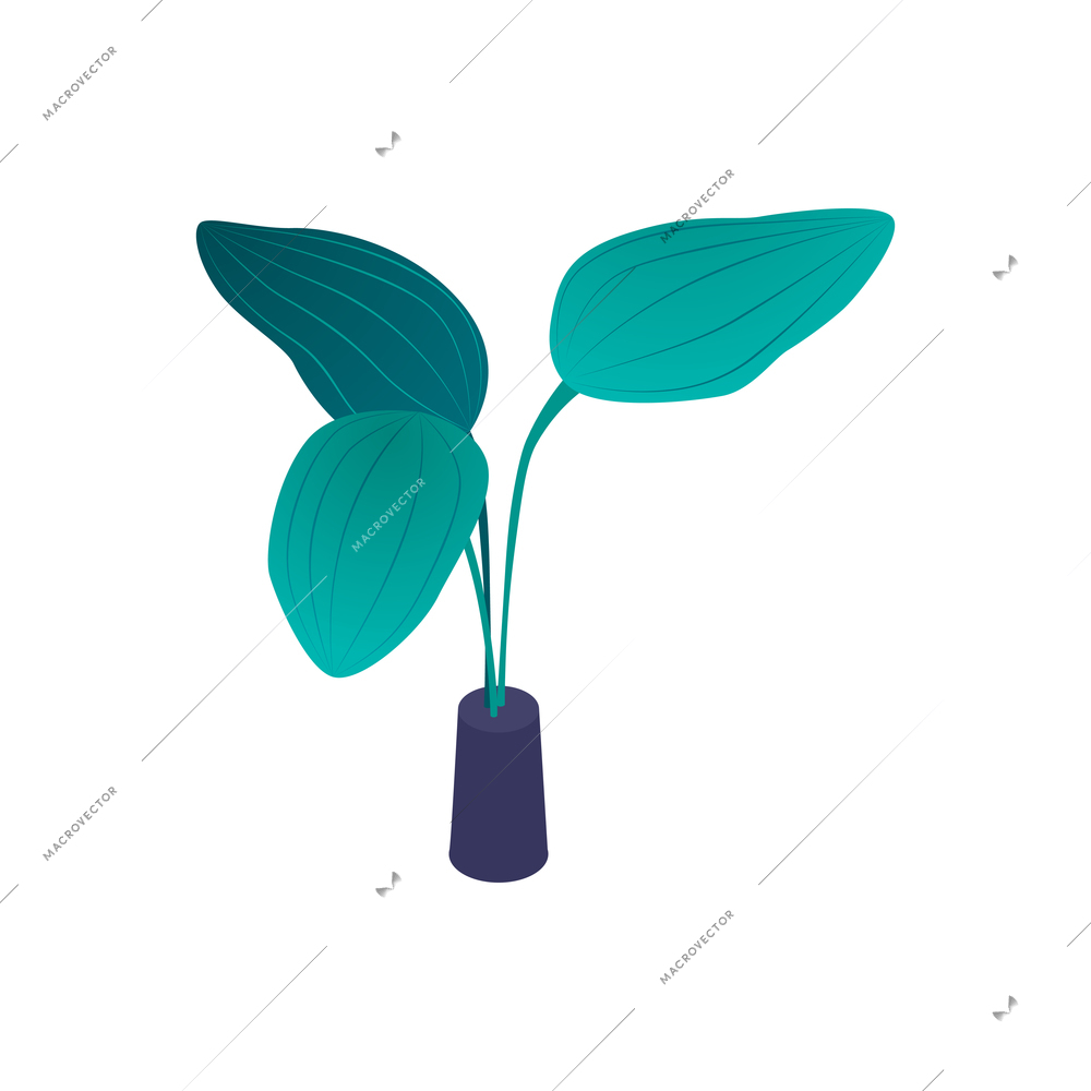 Isometric aquarium composition with isolated image of underwater plant with big leaves on blank background vector illustration