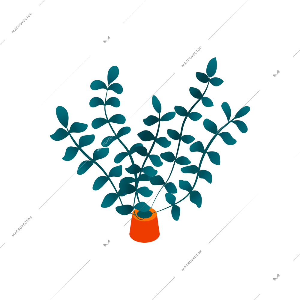 Isometric aquarium composition with isolated image of aquarium plant with branches and leaves vector illustration