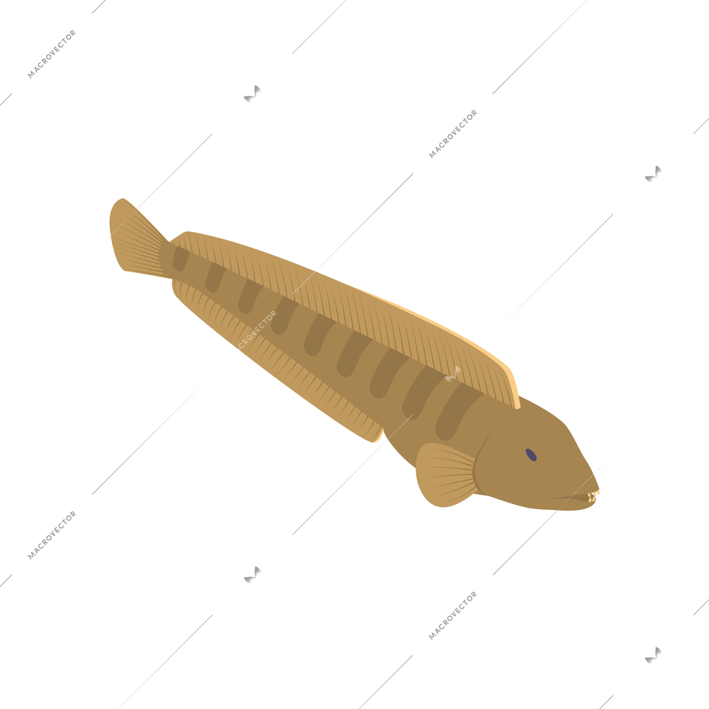 Commercial fishing isometric composition with isolated image of fish vector illustration