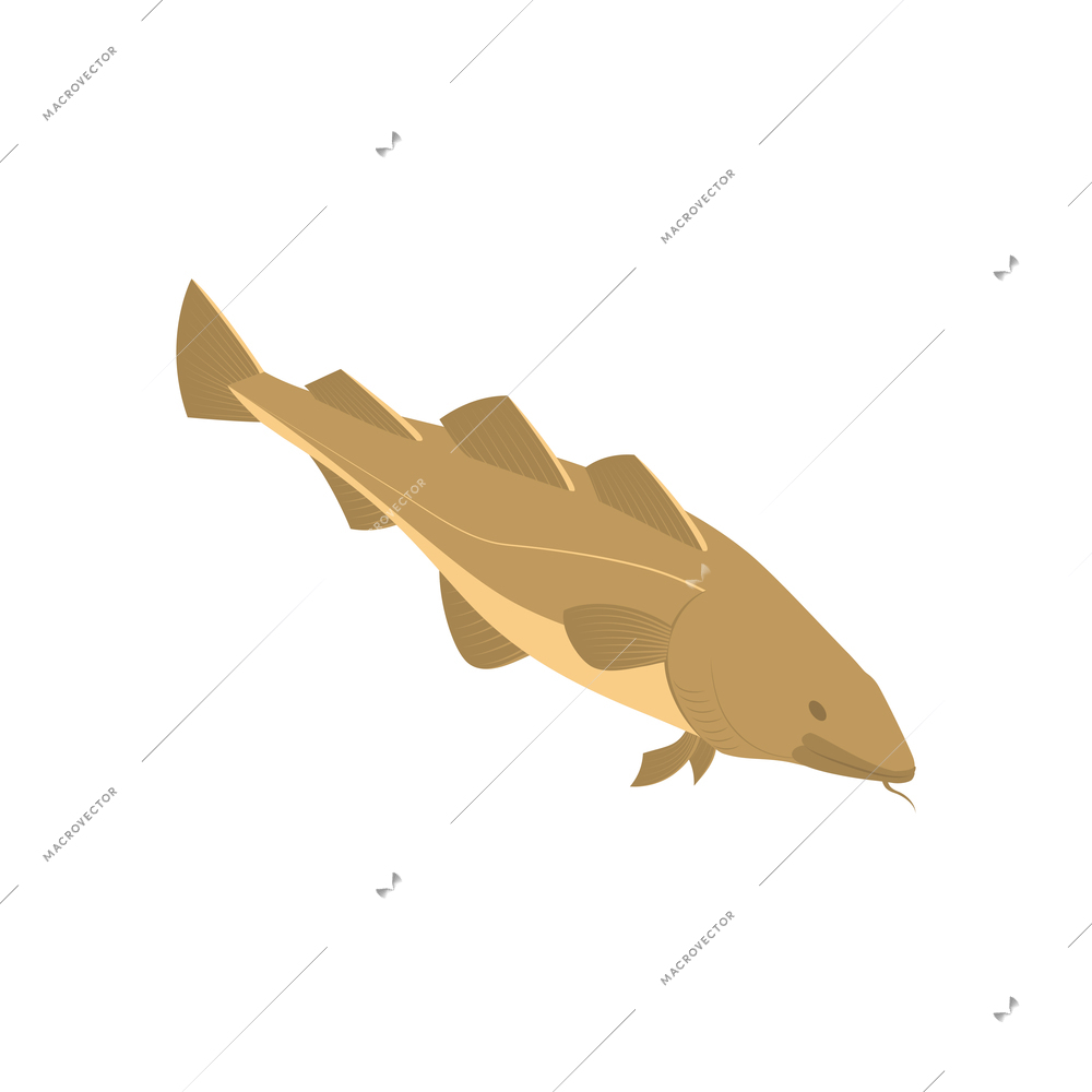 Commercial fishing isometric composition with isolated image of fish vector illustration