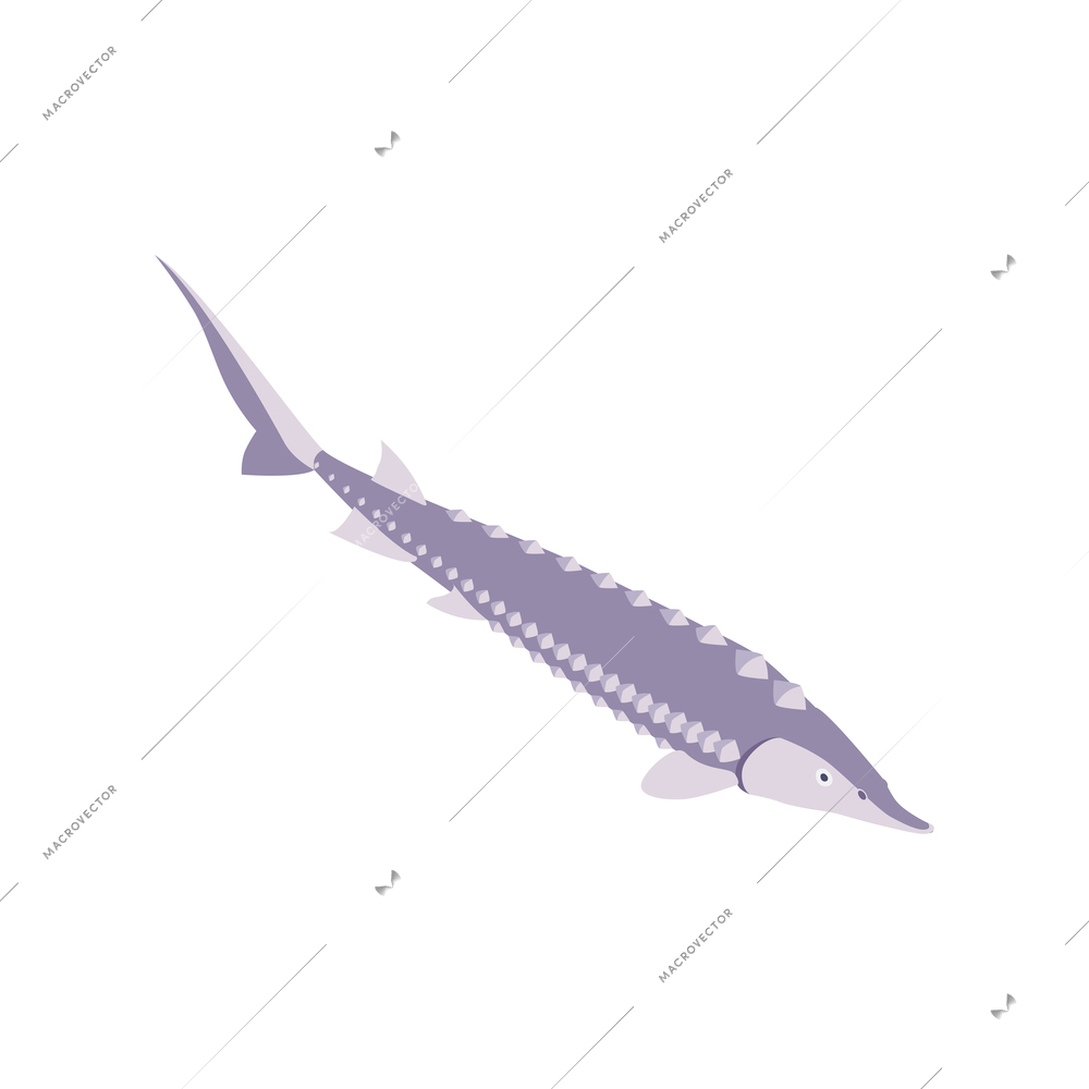 Commercial fishing isometric composition with isolated image of fish vector illustration